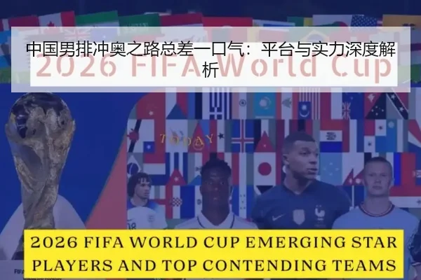 中国男排冲奥之路总差一口气：平台与实力深度解析